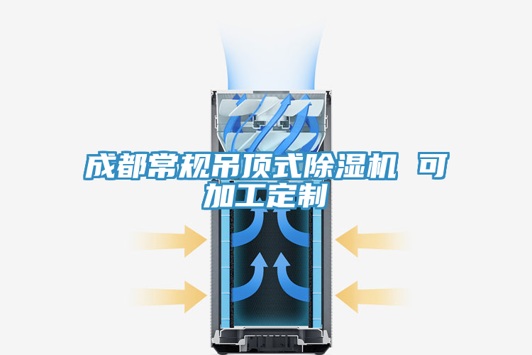 成都常规吊顶式除湿机 可加工定制