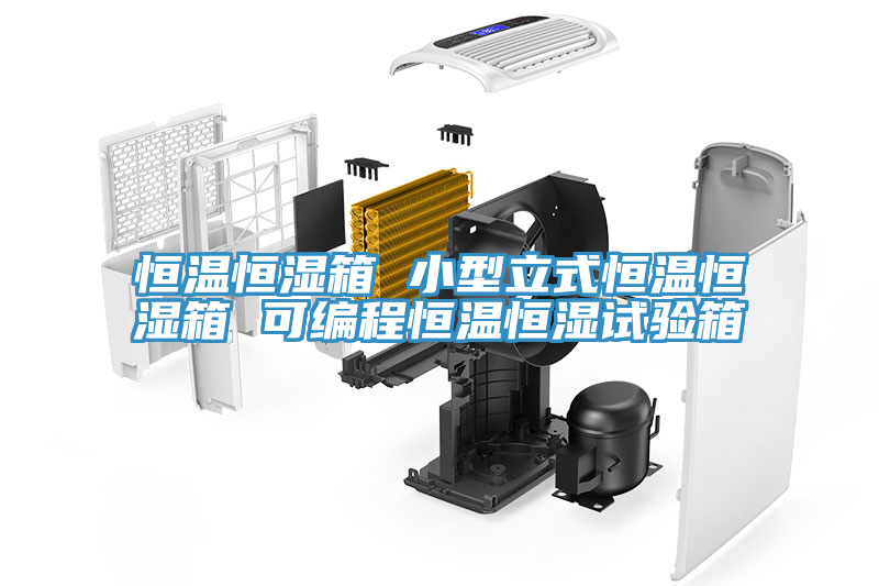 恒温恒湿箱 小型立式恒温恒湿箱 可编程恒温恒湿试验箱