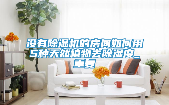 没有除湿机的房间如何用5种天然植物去除湿度_重复