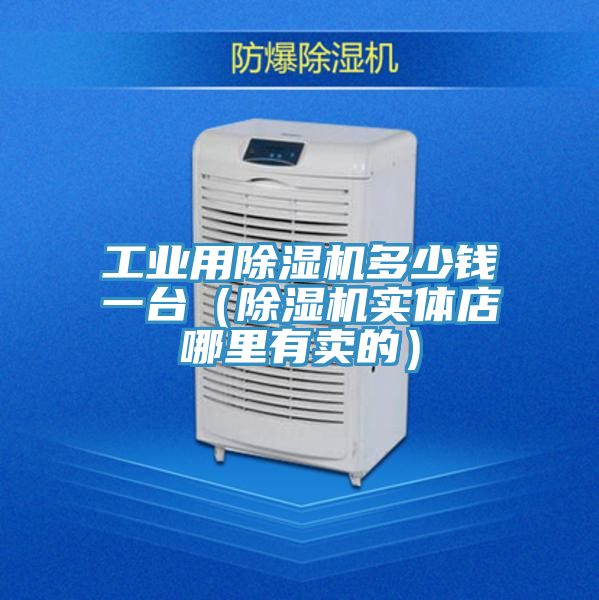 工业用除湿机多少钱一台（除湿机实体店哪里有卖的）