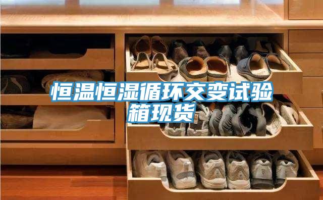 恒温恒湿循环交变试验箱现货