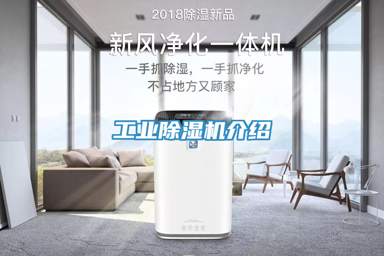 工业除湿机介绍
