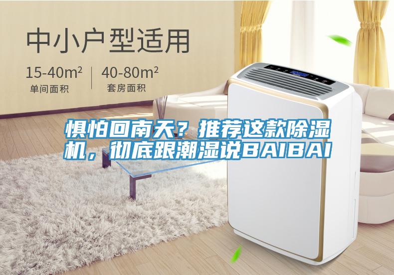 惧怕回南天？推荐这款除湿机，彻底跟潮湿说BAIBAI