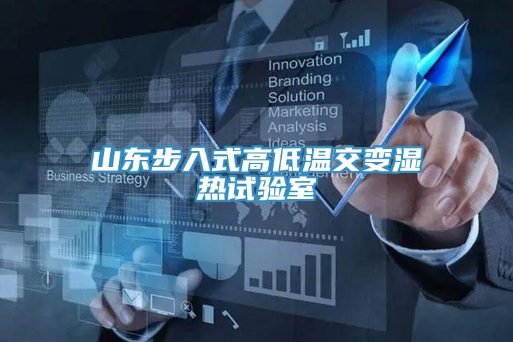 山东步入式高低温交变湿热试验室