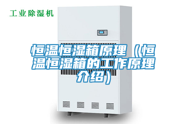 恒温恒湿箱原理（恒温恒湿箱的工作原理介绍）