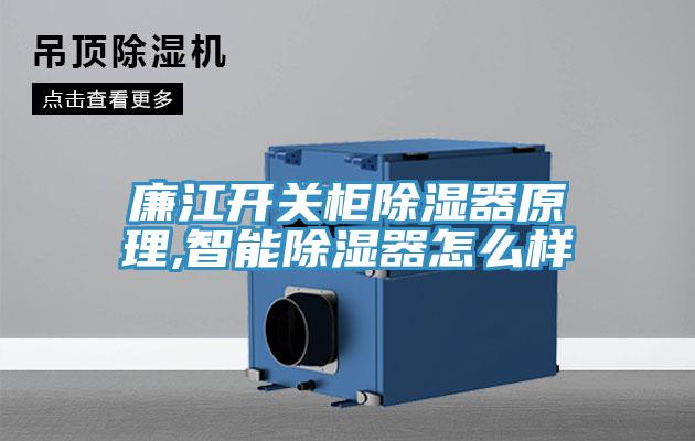廉江开关柜除湿器原理,智能除湿器怎么样