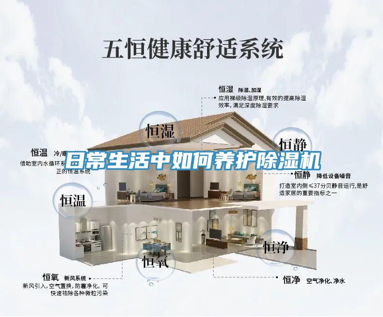 日常生活中如何养护除湿机