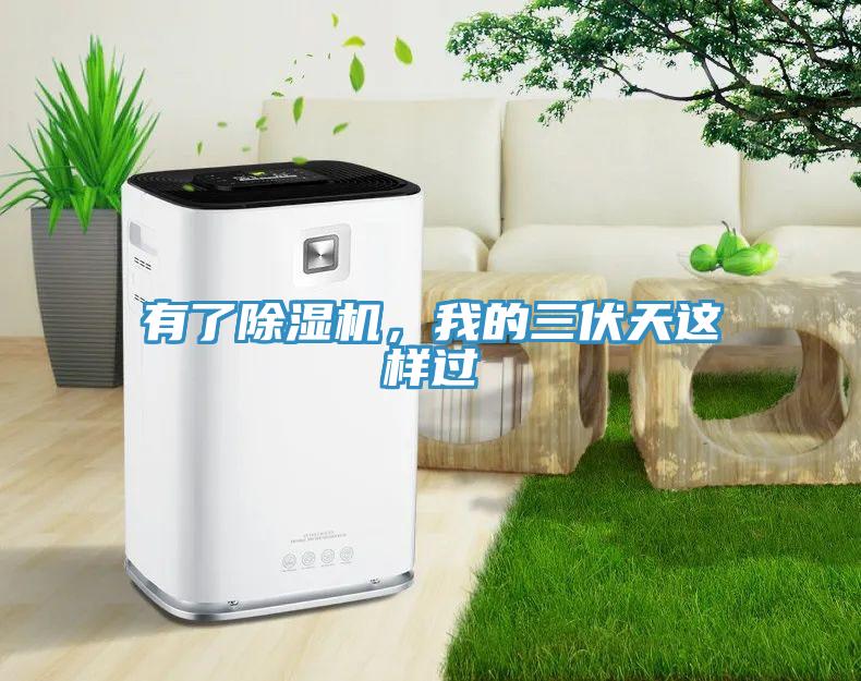 有了除湿机，我的三伏天这样过