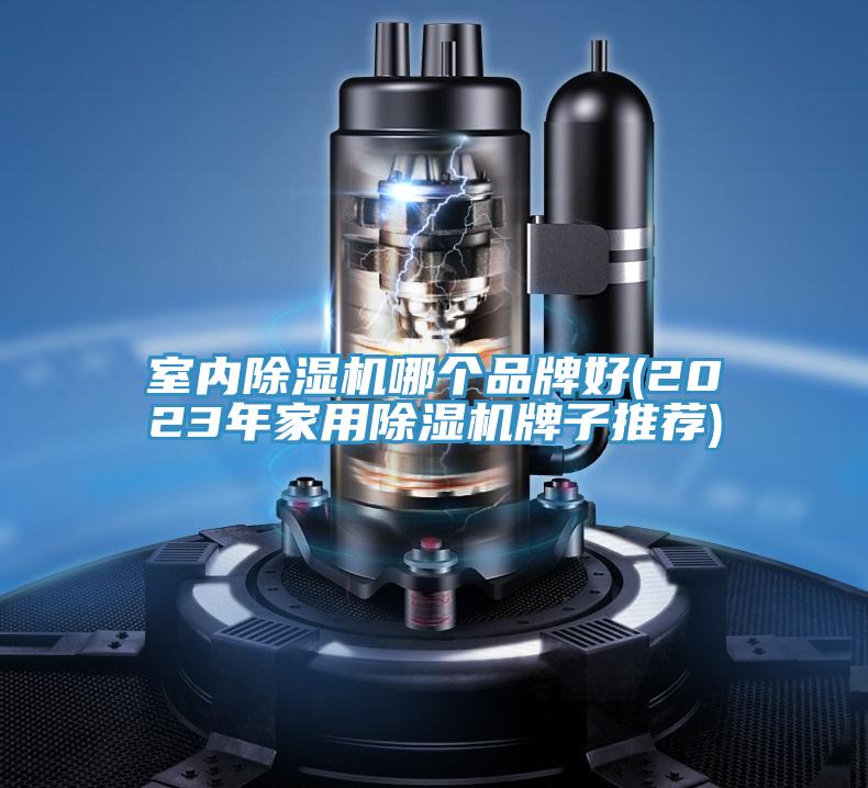 室内除湿机哪个品牌好(2023年家用除湿机牌子推荐)