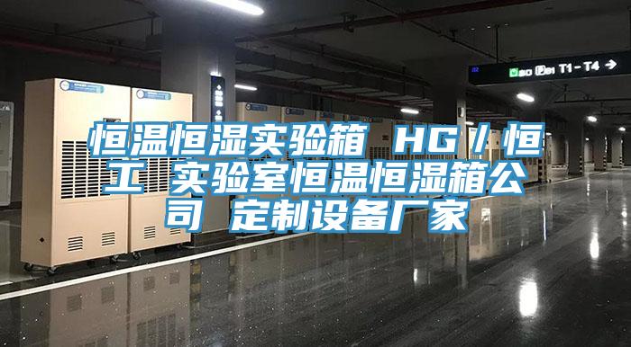 恒温恒湿实验箱 HG／恒工 实验室恒温恒湿箱公司 定制设备厂家