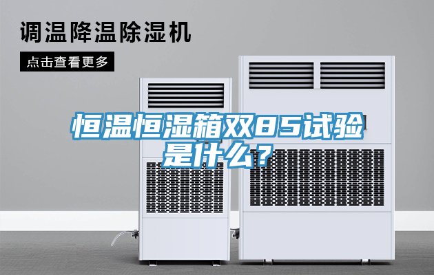 恒温恒湿箱双85试验是什么？