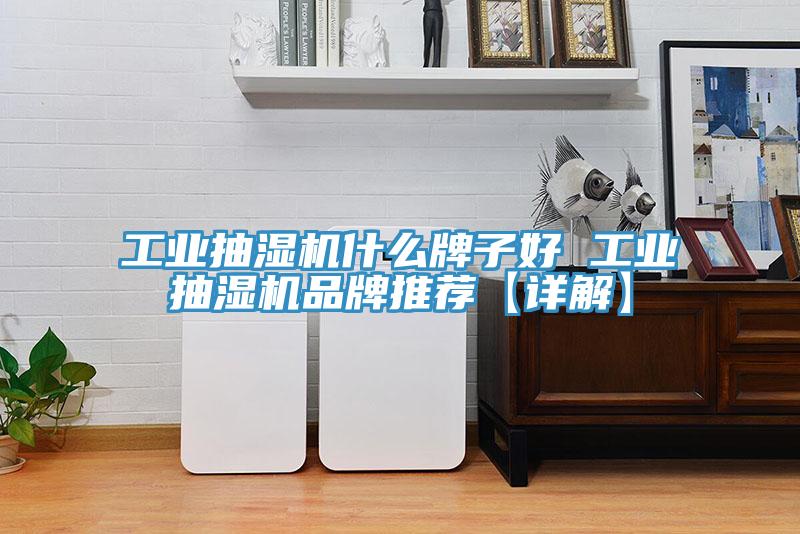 工业抽湿机什么牌子好 工业抽湿机品牌推荐【详解】
