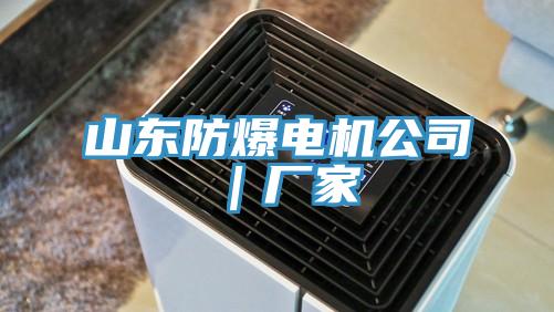 山东防爆电机公司｜厂家