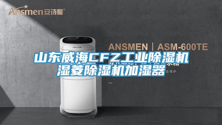 山东威海CFZ工业除湿机湿菱除湿机加湿器