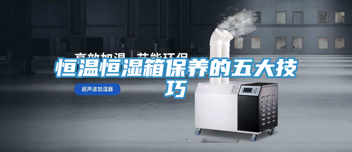 恒温恒湿箱保养的五大技巧