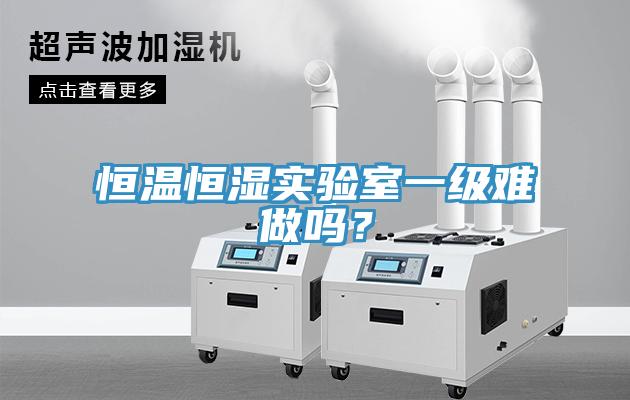恒温恒湿实验室一级难做吗？