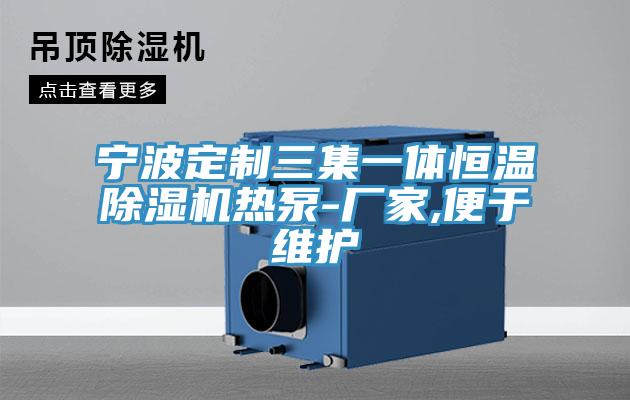 宁波定制三集一体恒温除湿机热泵-厂家,便于维护