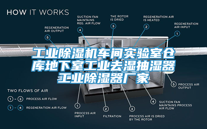 工业除湿机车间实验室仓库地下室工业去湿抽湿器工业除湿器厂家