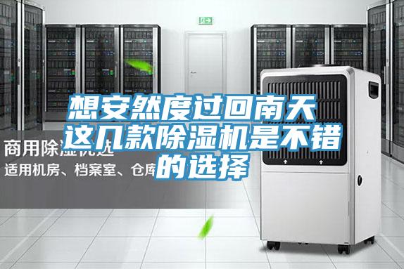 想安然度过回南天 这几款除湿机是不错的选择