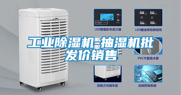 工业除湿机-抽湿机批发价销售
