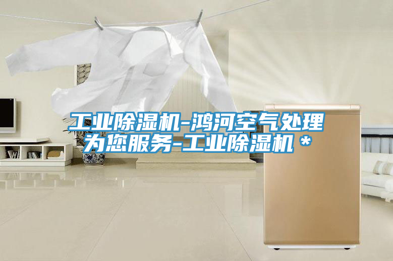 工业除湿机-鸿河空气处理为您服务-工业除湿机＊