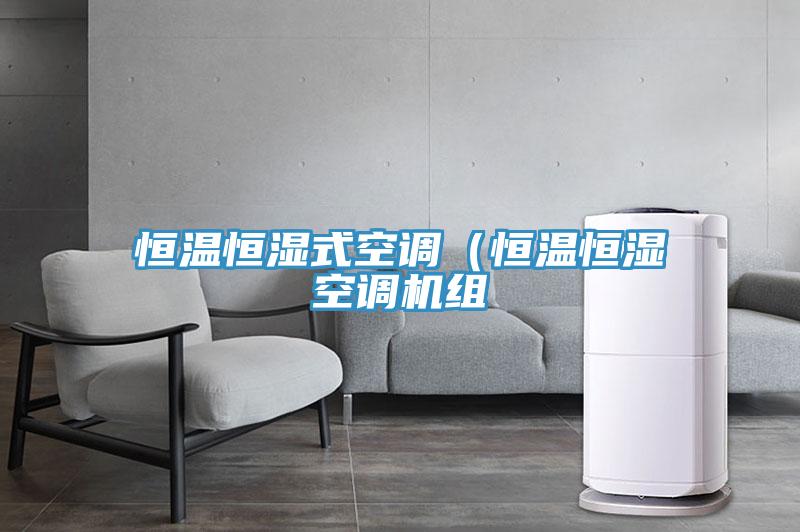 恒温恒湿式空调（恒温恒湿空调机组
