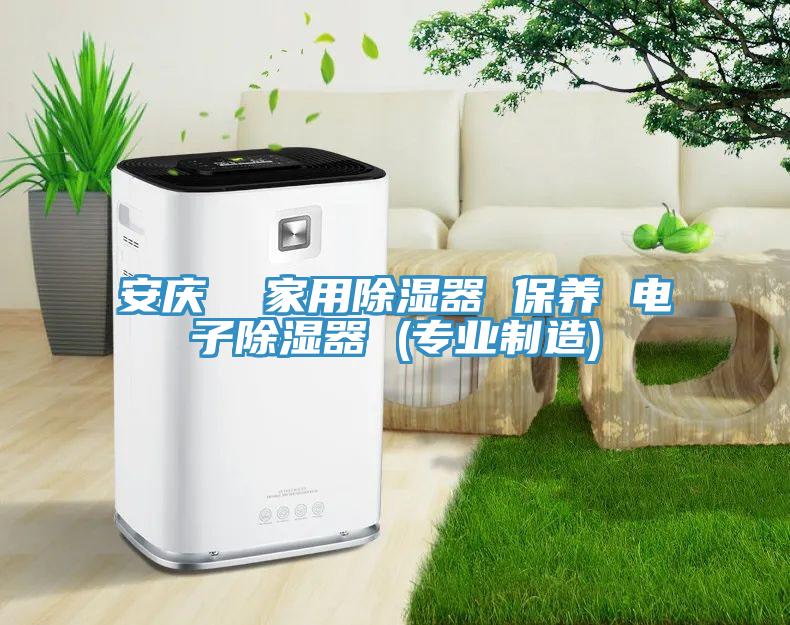 安庆  家用除湿器 保养 电子除湿器 (专业制造)