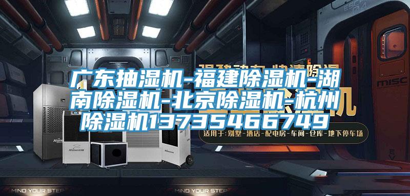 广东抽湿机-福建除湿机-湖南除湿机-北京除湿机-杭州除湿机13735466749