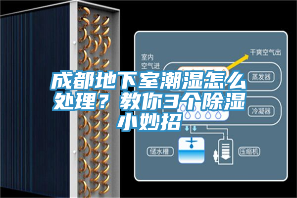 成都地下室潮湿怎么处理？教你3个除湿小妙招