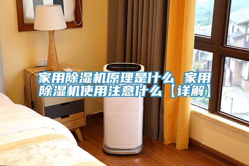 家用除湿机原理是什么 家用除湿机使用注意什么【详解】
