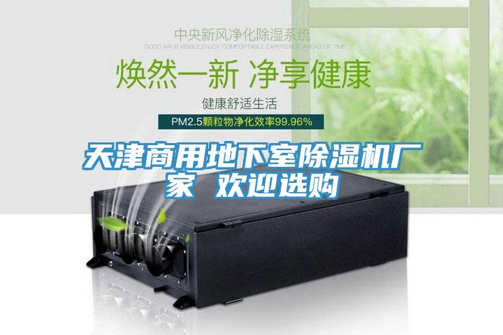 天津商用地下室除湿机厂家 欢迎选购