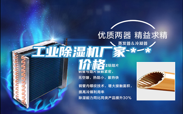 工业除湿机厂家＊＊价格