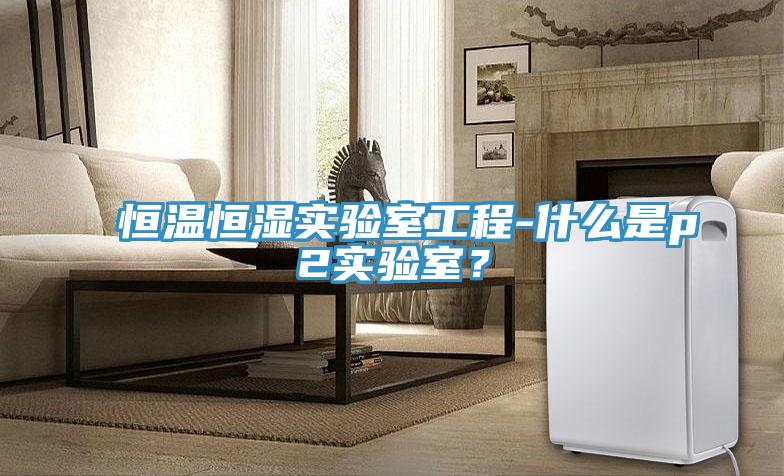 恒温恒湿实验室工程-什么是p2实验室？