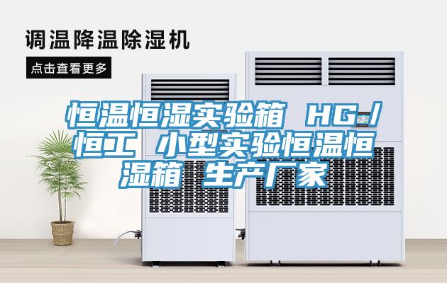 恒温恒湿实验箱 HG／恒工 小型实验恒温恒湿箱 生产厂家