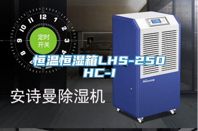 恒温恒湿箱LHS-250HC-I
