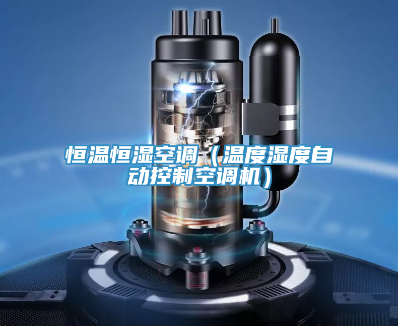 恒温恒湿空调（温度湿度自动控制空调机）