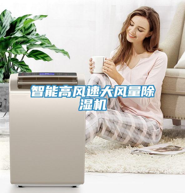 智能高风速大风量除湿机