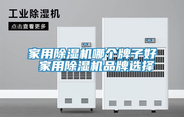 家用除湿机哪个牌子好 家用除湿机品牌选择