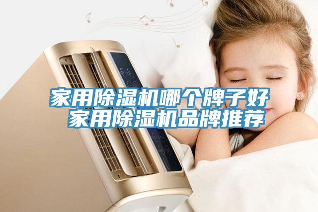 家用除湿机哪个牌子好 家用除湿机品牌推荐