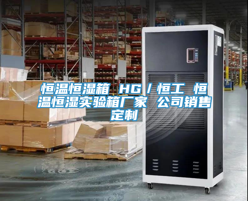 恒温恒湿箱 HG／恒工 恒温恒湿实验箱厂家 公司销售定制