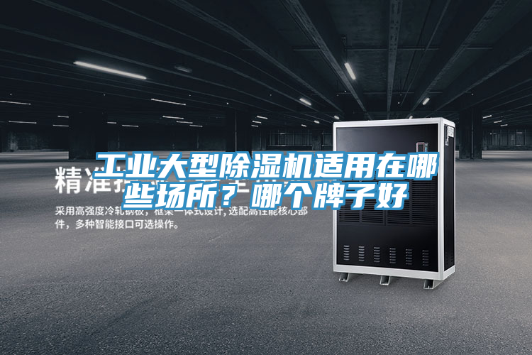 工业大型除湿机适用在哪些场所？哪个牌子好