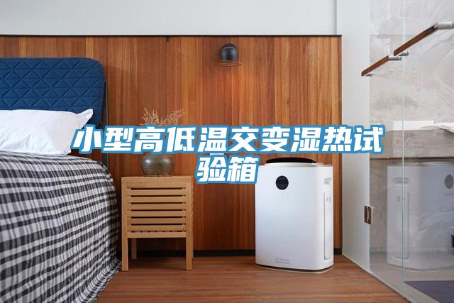 小型高低温交变湿热试验箱