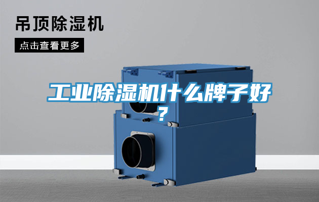 工业除湿机什么牌子好？