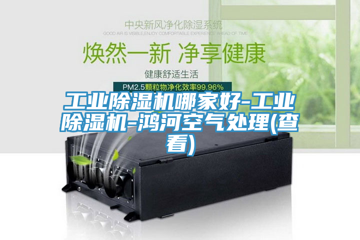 工业除湿机哪家好-工业除湿机-鸿河空气处理(查看)