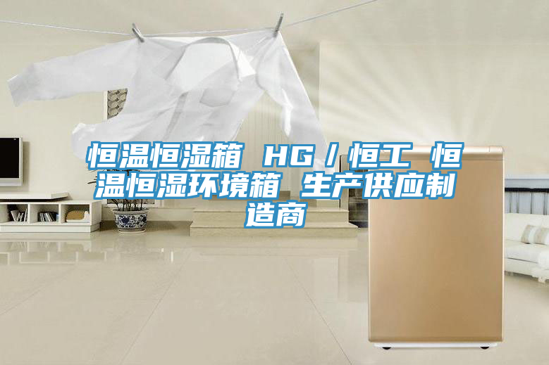恒温恒湿箱 HG／恒工 恒温恒湿环境箱 生产供应制造商