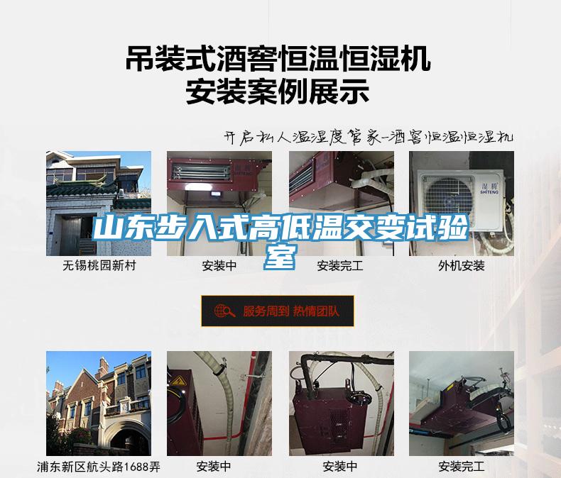 山东步入式高低温交变试验室