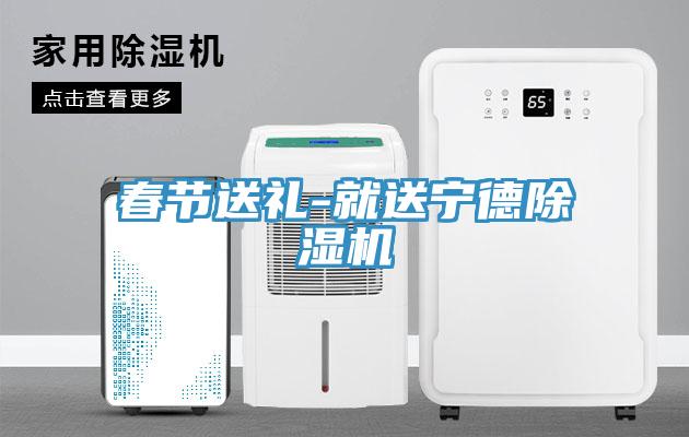 春节送礼-就送宁德除湿机