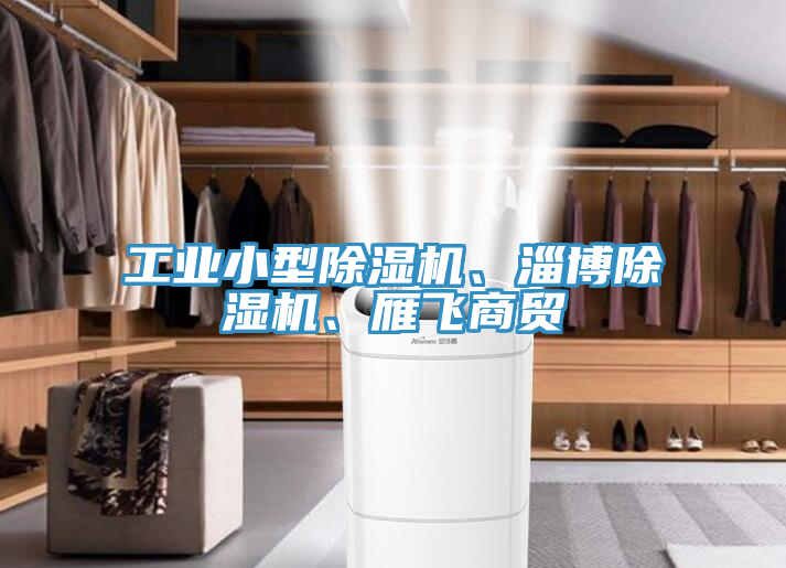 工业小型除湿机、淄博除湿机、雁飞商贸