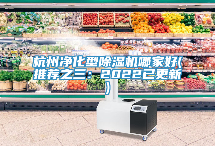 杭州净化型除湿机哪家好(推荐之三：2022已更新)