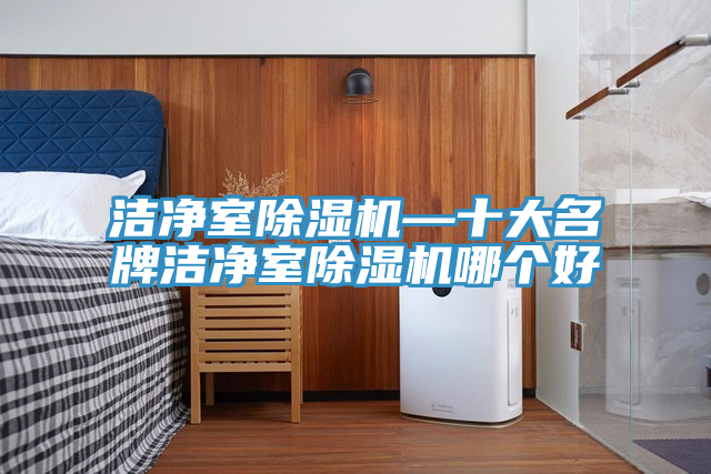 洁净室除湿机—十大名牌洁净室除湿机哪个好